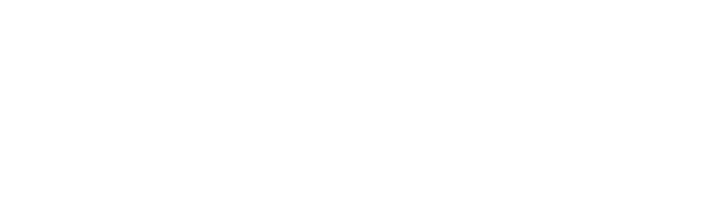 Boundless Hound Logo